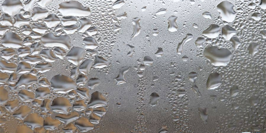 How to stop condensation on your fish tank hood