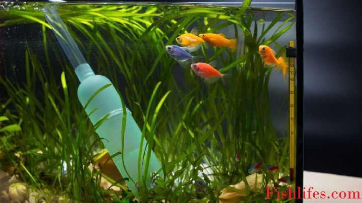 How to use a Siphon Pump for a Fish Tank?