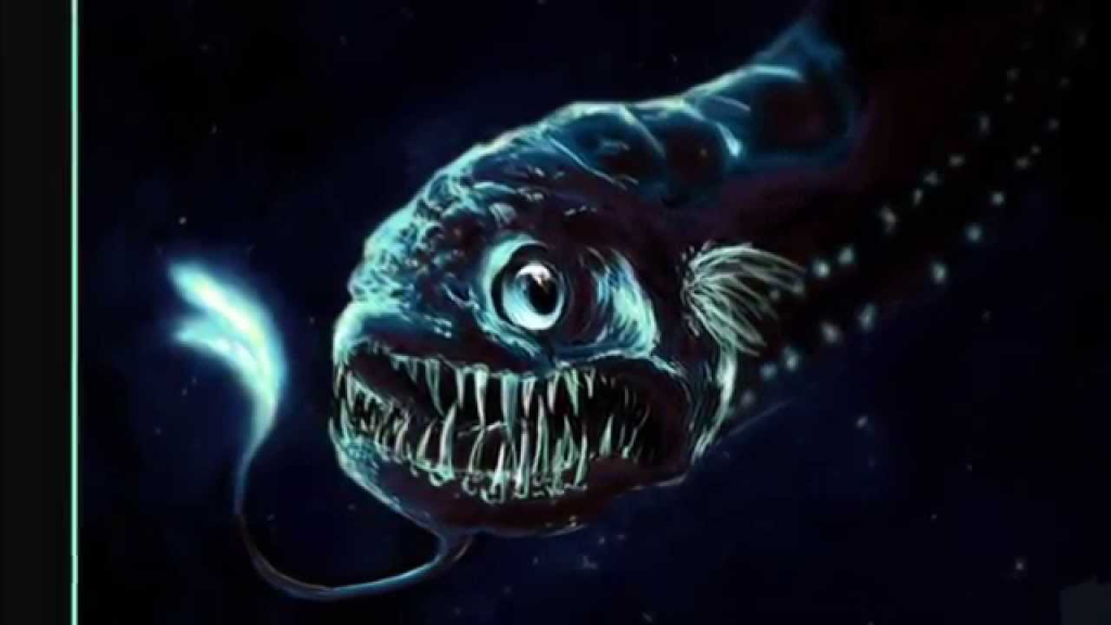 Dragonfish | a Magnificent Dragon-like Fish from the Deep |
