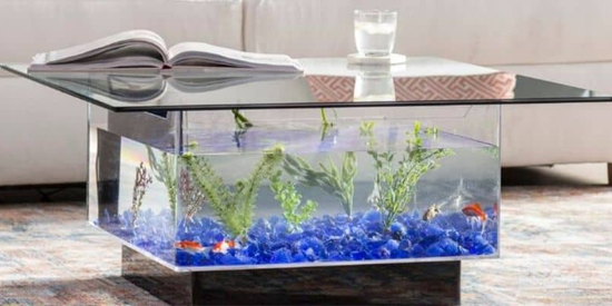 Betta Fish Tank Table