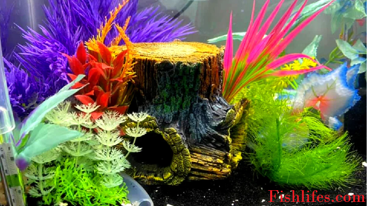 Read more about the article Is it Possible to Clean Plastic Aquarium Plants in the Dishwasher?
