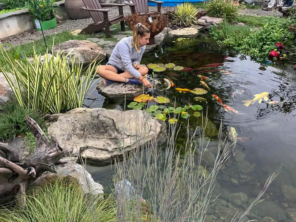 Taking Care of Goldfish in a Pond | Complete Guide