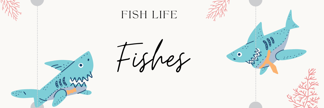 Fishlifes-Banner